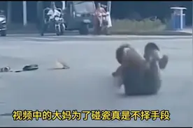 大妈为碰瓷马路上花式翻滚，下秒人都玩进去了1视频封面