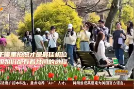 周末天晴宜出游 杭州太子湾郁金香开了视频封面
