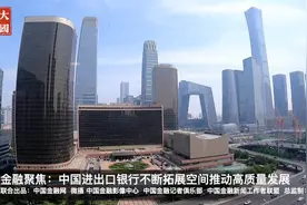 大国金融：中国进出口银行不断拓展空间推动高质量发展&何世红视频封面