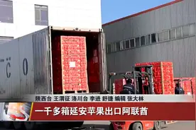 一千多箱延安苹果出口阿联酋视频封面