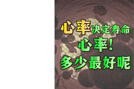 北京安贞医院柳瑞（稳心先生）：心率决定寿命，心率多少最好呢视频封面