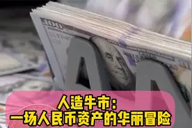 人造牛市：一场人民币资产的华丽冒险视频封面