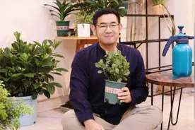 长寿花怎么养？园艺师教你，长寿花的详细养护技巧视频封面