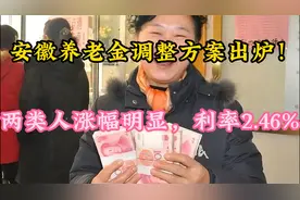 安徽养老金调整方案出炉！两类人涨幅明显，利率2.46%