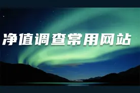 净值调查常用的网站,