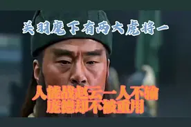 关羽麾下有两大虎将，一人能战赵云，一人不输庞德，却不被重用视频封面