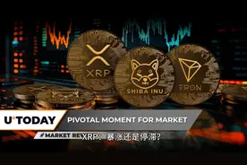 XRP：暴涨还是停滞？视频封面