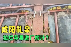 咸阳礼泉货车拉烂苹果进厂榨汁？市监局介入：已暂停产品出库视频封面