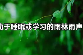 有助于睡眠或学习的雨林雨声🌧️ 助眠的雨声和雷声视频封面