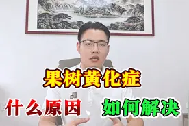 果树黄化是怎样造成的，果树黄化枯枝落叶用什么药效果好！视频封面