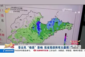 受台风“格美”影响，山东迎明显降雨，中西部地区局部将有大暴雨视频封面
