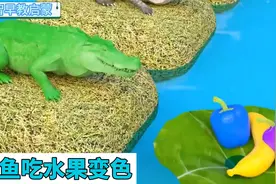 儿童早教动画：鳄鱼喜欢吃水果，它们被染成了五颜六色
