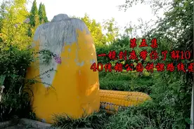 第五集西安1040传销在公园讲课哪些建筑物？带大家一镜到底了解视频封面