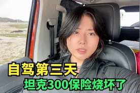自驾新疆第三天，坦克300保险丝烧坏了，求助修车小哥用铜线救急视频封面