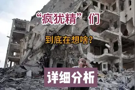 “疯犹精”们到底在想啥？-详细分析