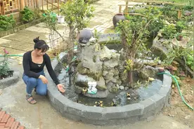 全能妹妹木屋独居，独自翻新景观池饲养小鸭，生活过得有滋有味视频封面