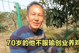 三峡移民在上海的生活，4亩果园年收入近10万，现70岁了还要创业视频封面