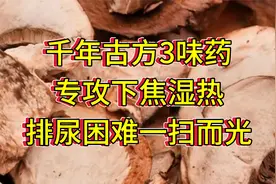 千年古方3味药，专攻下焦湿热，尿频尿痛一扫而光视频封面