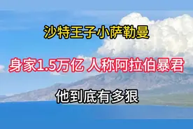 沙特王子小萨勒曼，身家1.5万亿， 人称阿拉伯暴君，他到底有多狠视频封面