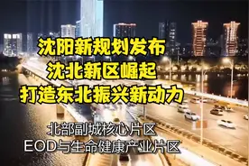 沈阳新规划发布：沈北新区崛起，打造东北振兴新动力视频封面