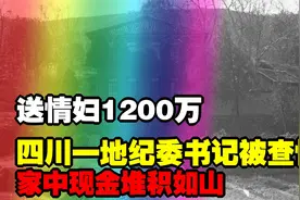 送情妇1200万！家中现金堆积如山，四川一地纪委书记被查情妇背刺视频封面