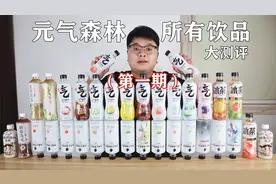 帅小伙花光压岁钱，买来元气森林旗下所有饮品测评，味道太有意思视频封面