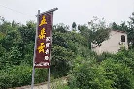 从广东打工妹到家庭农场主，潼南区周小艳的乡村逆袭之路！视频封面