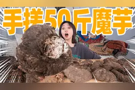 用10斤魔芋磨出1000份魔芋爽！发财了！视频封面