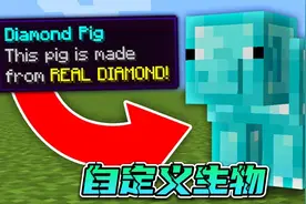 我的世界但可以创造自定义生物视频封面