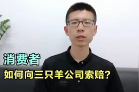 消费者如何向三只羊公司索赔？视频封面