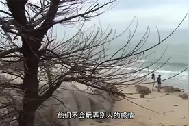 火与土的奇妙结合——白羊座和摩羯座的爱情故事视频封面