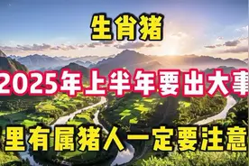 2025年上半年，家里有属猪人一定要注意视频封面