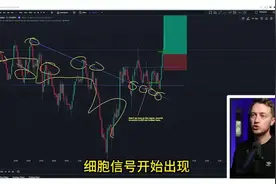 新手逆袭？黄金交易指标秒上手！视频封面