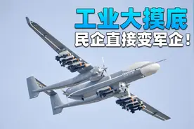 我国一个工业大摸底，到底摸出多少黑科技？民企直接变军企！视频封面