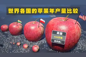 不同国家和地区的苹果年产量比较，中国遥遥领先！！！视频封面