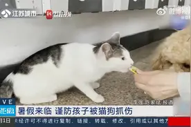 注意！狂犬疫苗24小时有效是误区视频封面