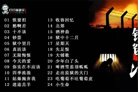 80年代流行大江南北的经典囚歌,迟志强演唱《铁窗泪》视频封面