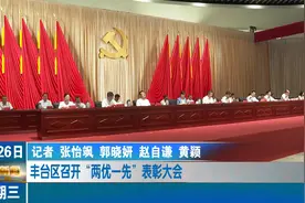 丰台区召开“两优一先”表彰大会视频封面