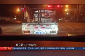 病死猪肉流入市场，正规肉联厂宰杀病死猪，检疫全靠贿赂视频封面