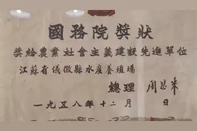 仪征市新媒体代表参观打卡“江上盐都”十二圩视频封面