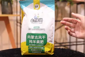 养花用什么有机肥？园艺师教你，用风干纯羊粪肥，肥沃不烧根烧苗视频封面