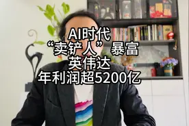 AI时代“卖铲人”暴富：英伟达年利润超5200亿！视频封面