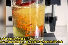 小龙虾高温油炸后有寄生虫吗？网友用显微镜观察视频封面