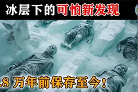 48万年前冰封至今永久冻土下的远古生命体吓坏科学家视频封面