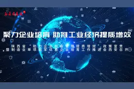 聚力优质企业培育 助推工业经济提质增效视频封面