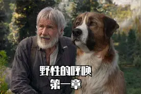 《野性的呼唤》第一章—突然改变的命运视频封面