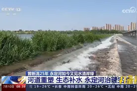 永定河又见水清岸绿！河道重塑，生态补水，永定河治理完成视频封面