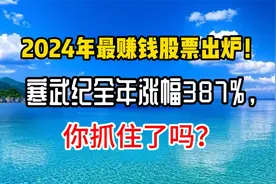 2024年最赚钱股票出炉！寒武纪全年涨幅387%，你抓住了吗？