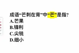成语芒刺在背，这里的芒指的是？是芒果的意思吗？