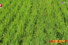 延边：农文旅深度融合 绘就美丽乡村新画卷视频封面